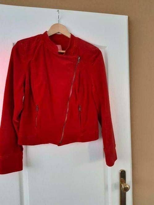 mooi, kort, rood fluwelen jasje van Kyra&Co, Kleding | Dames, Maat 38/40 (M), Kyra&Co., Ophalen of Verzenden, Zo goed als nieuw