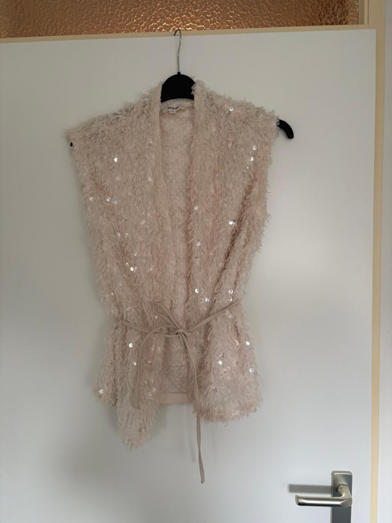 Gilet met pailletten, Ophalen of Verzenden, Zo goed als nieuw, Maat 38/40 (M), Beige