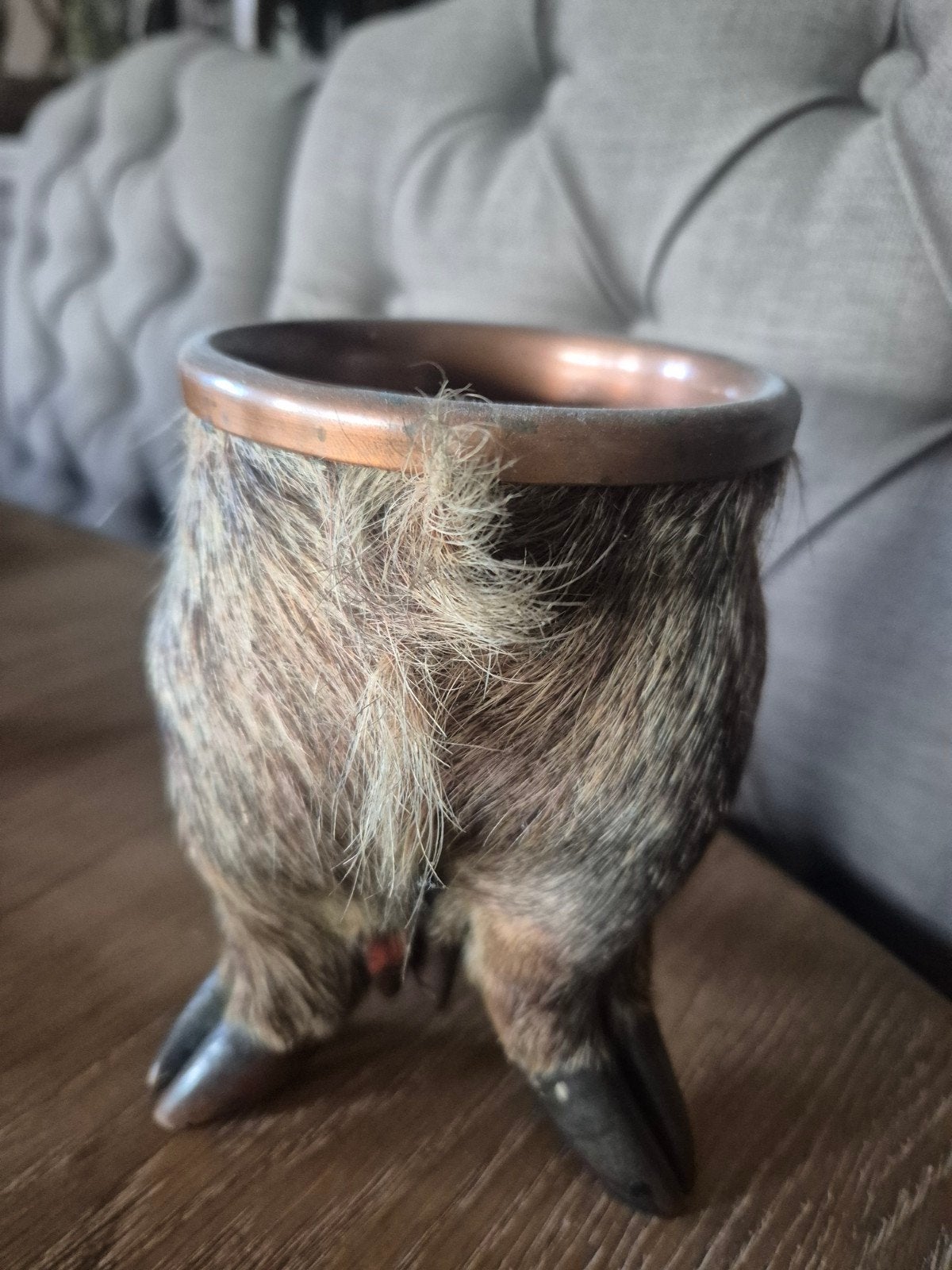 taxidermie everzwijn asbak, Ophalen of Verzenden, Vogel, Overige typen