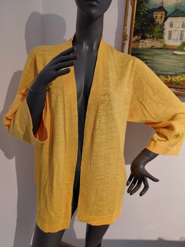 Xandres prachtige vest large, Verzenden, Zo goed als nieuw, Maat 42/44 (L)