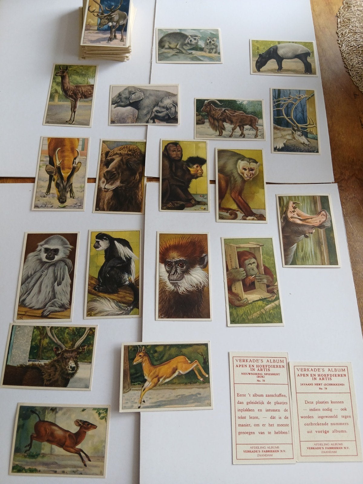 Plaatjes verkade ongebruikt, Ophalen of Verzenden, Nieuw, Plaatje