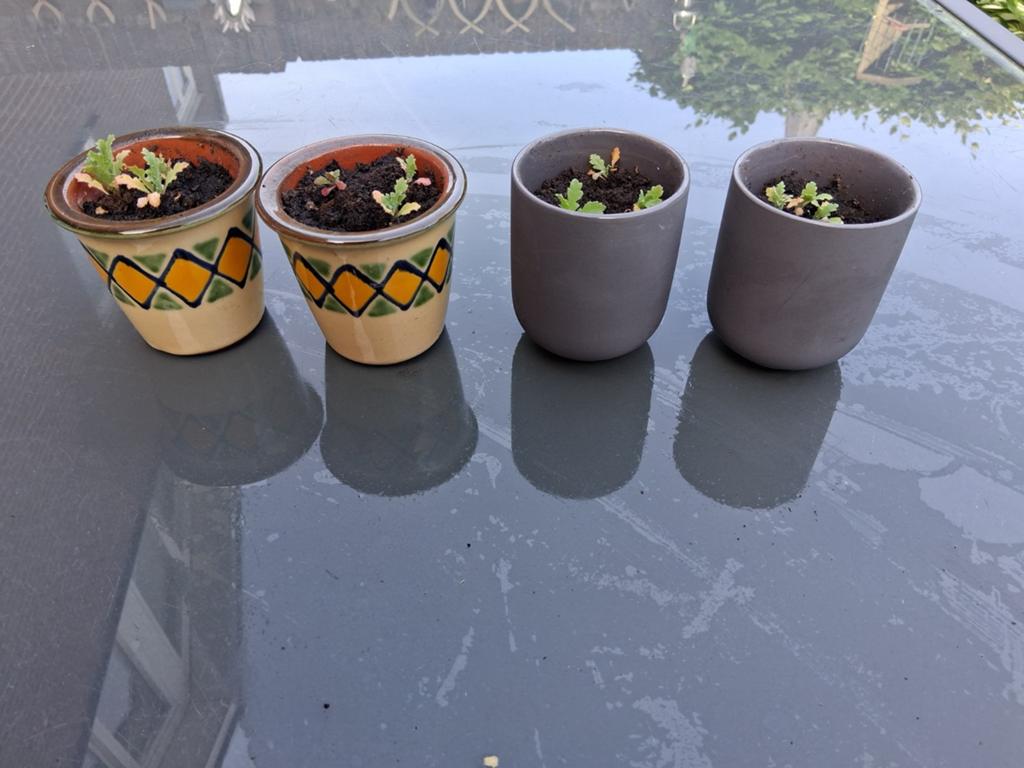1x of 2x setje potjes met pioenen, Rond, Ophalen of Verzenden, Aardewerk, Minder dan 40 cm