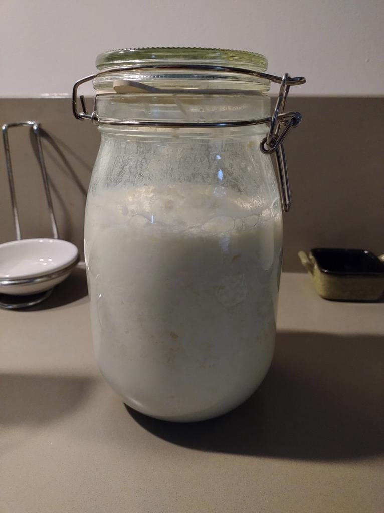 Melkkefirkorrels, maak zelf yoghurt en/of karnemelk!, Ophalen of Verzenden