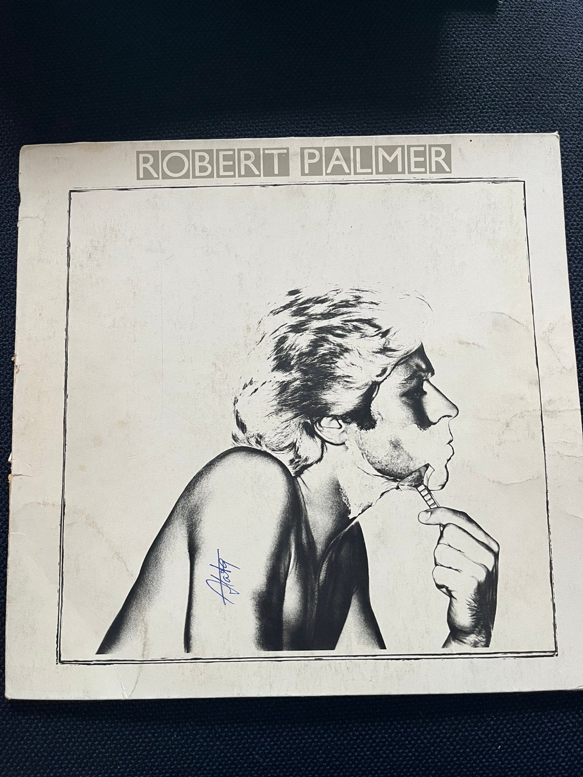 Robbert Palmer, Ophalen of Verzenden, Gebruikt