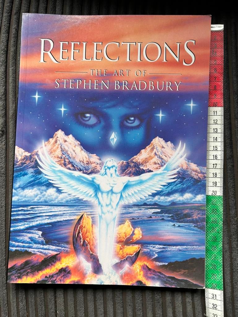 Boek Reflections the art of Steven Bradbury, Ophalen, Gelezen
