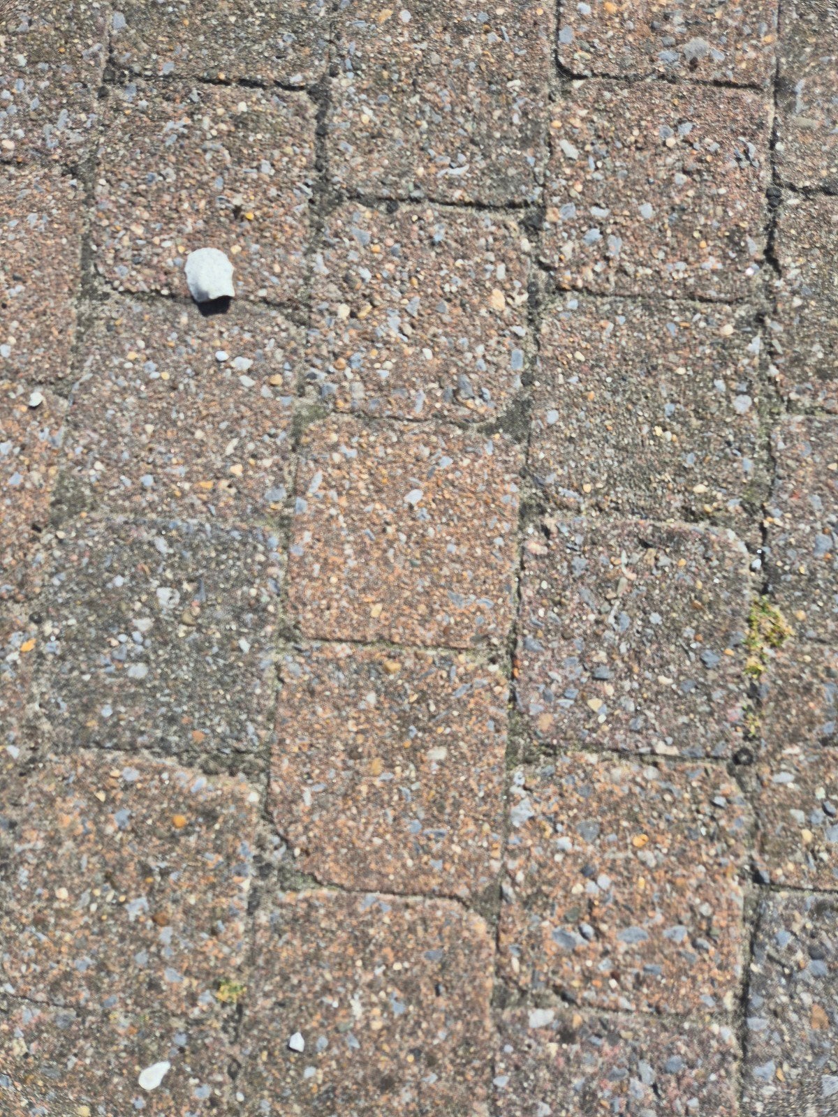 GRATIS betonnen klinkers voor terras of oprit, Tuin en Terras, Ophalen, Gebruikt, Klinkers, 10 m² of meer