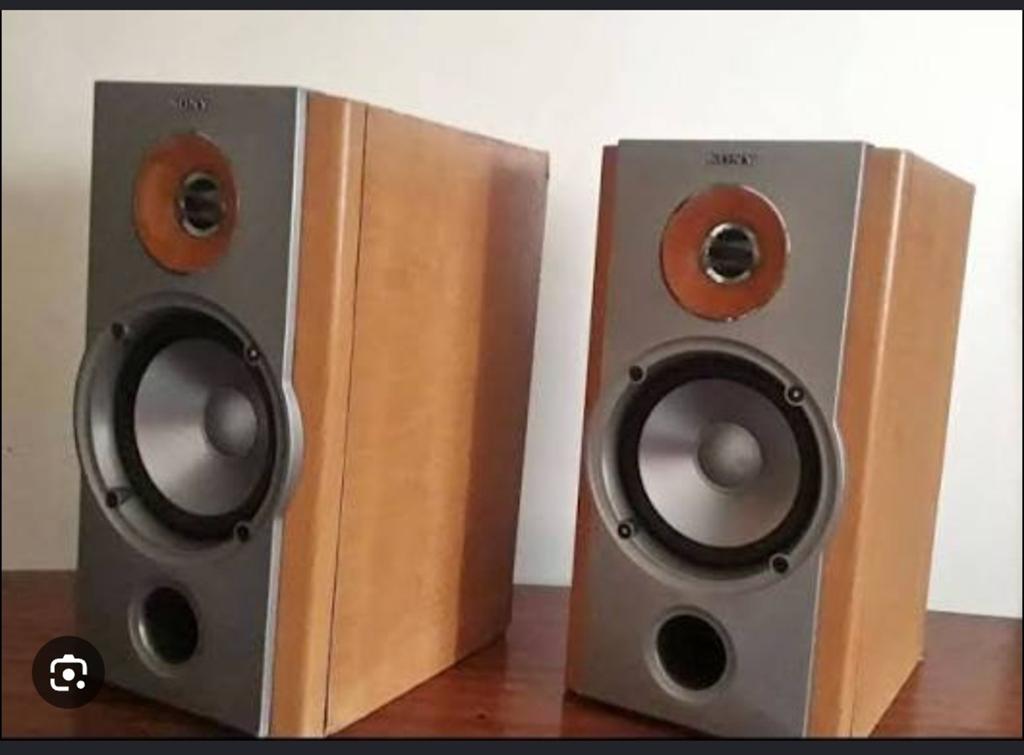 Sony ss nx1  boekenplank speakers goed geluid, Ophalen, Front, Rear of Stereo speakers, Sony