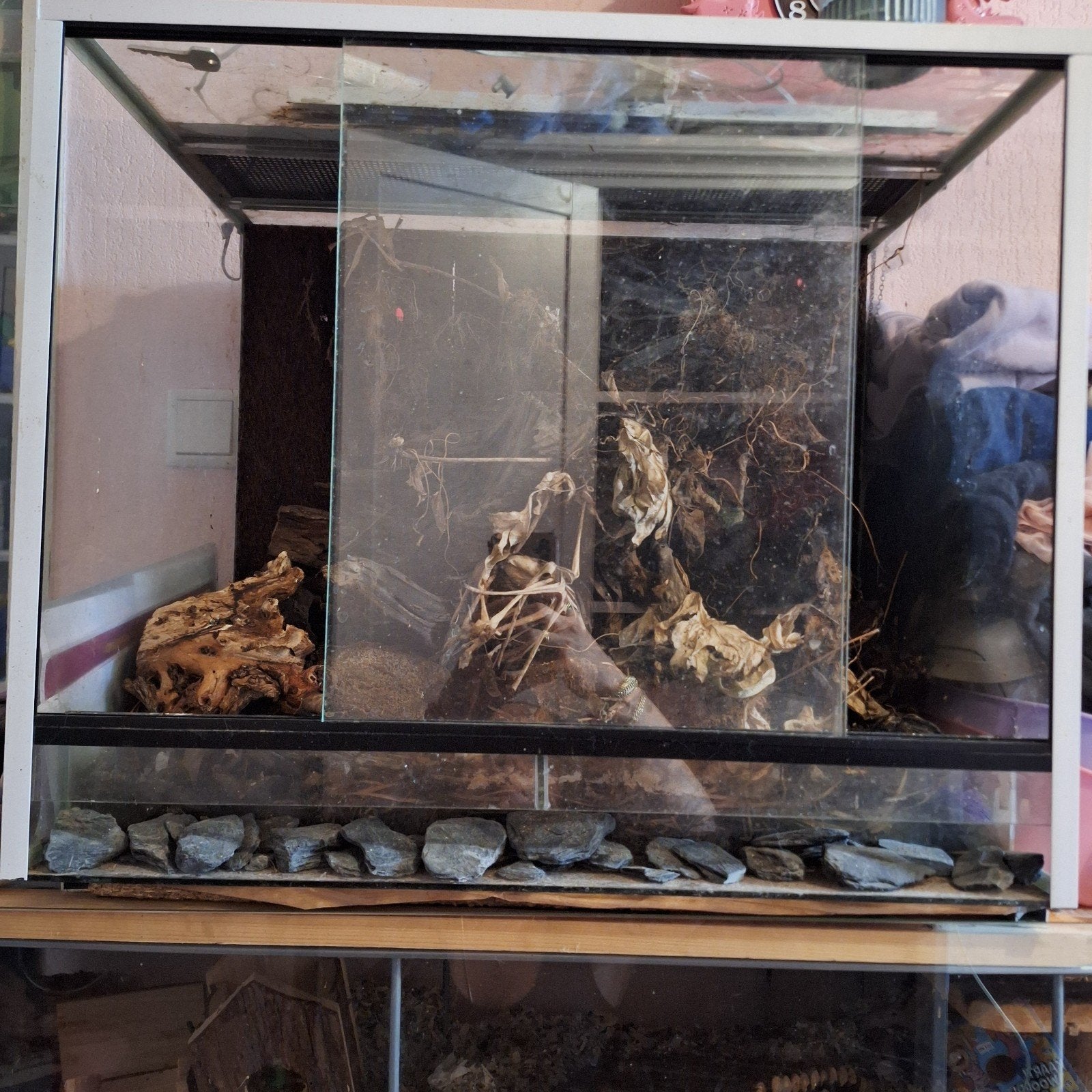 terrarium h60xd40xh50, Dieren en Toebehoren, Reptielen en Amfibieën | Toebehoren, Ophalen