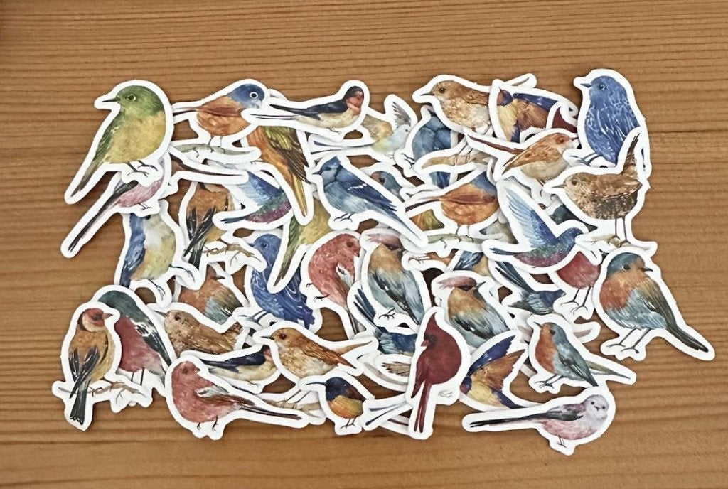 Vogeltjes vogel stickers, Verzenden, Nieuw, Meerdere stickers