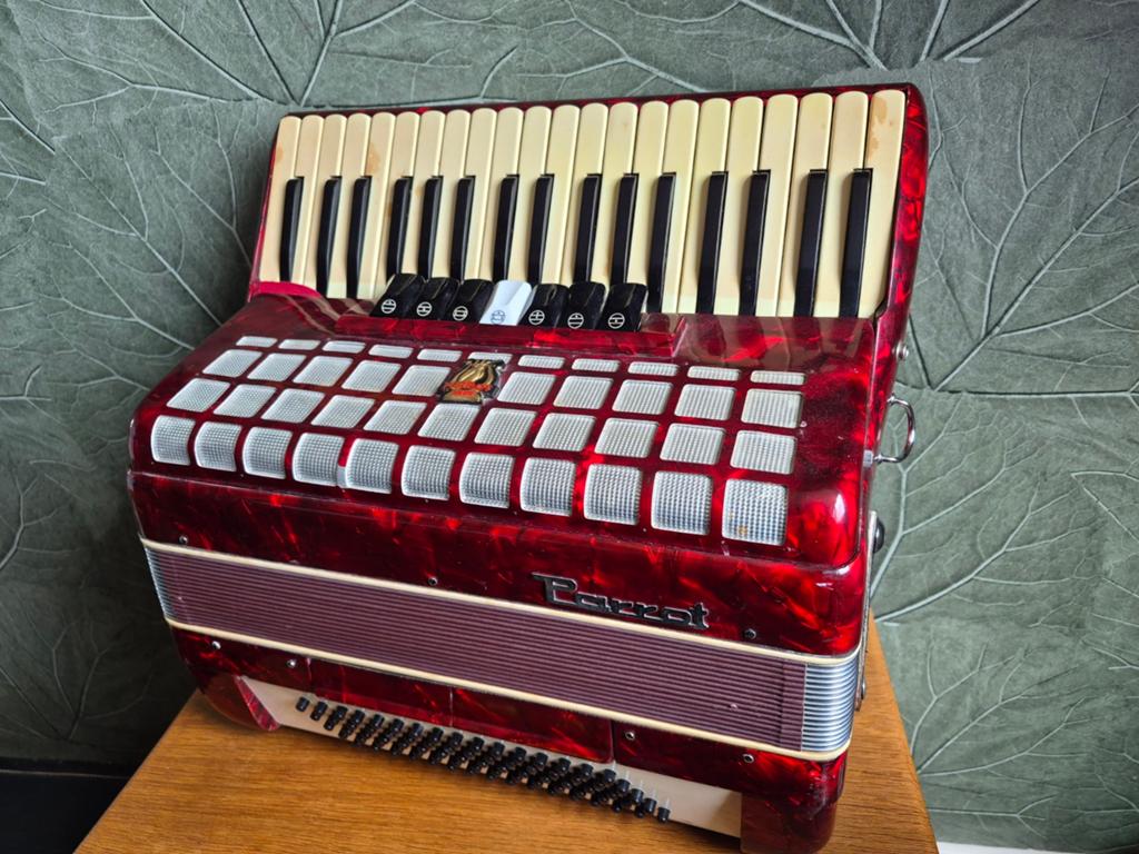Accordeon Parrot 80 bas, Muziek en Instrumenten, Accordeons, Ophalen, Gebruikt, 80-bas, Overige merken