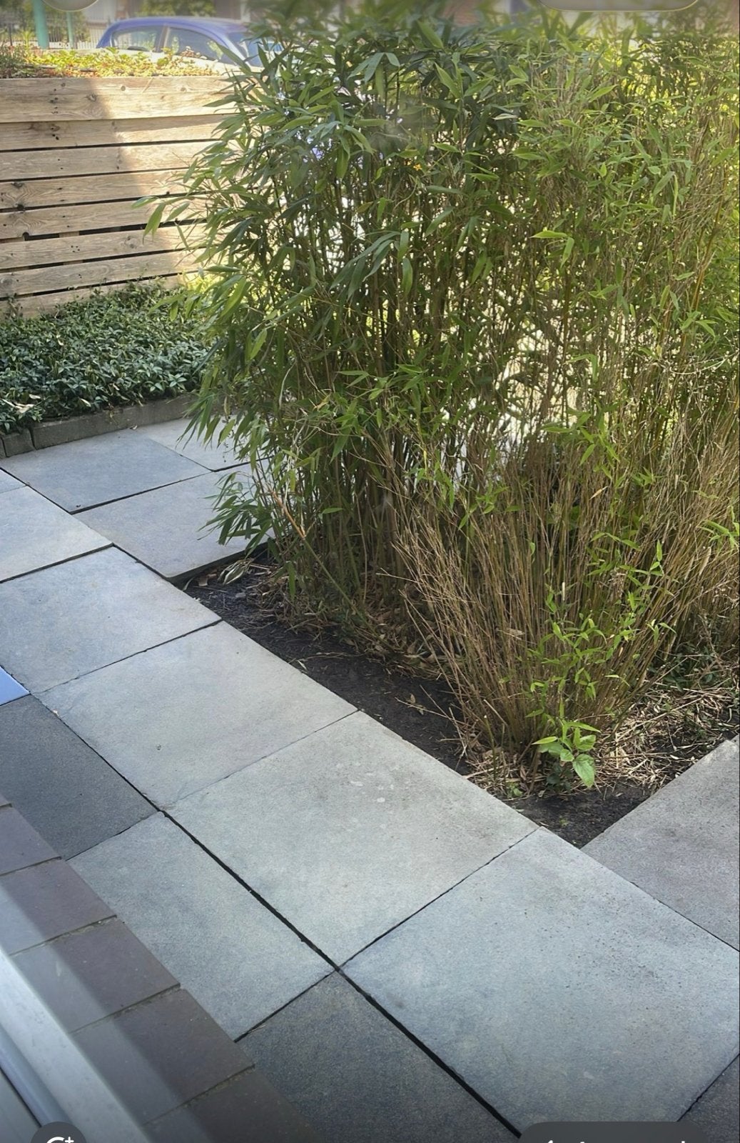Gratis terrastegels ophalen (zelf schoonspuiten), Tuin en Terras, Ophalen, Gebruikt, 10 m² of meer, Beton