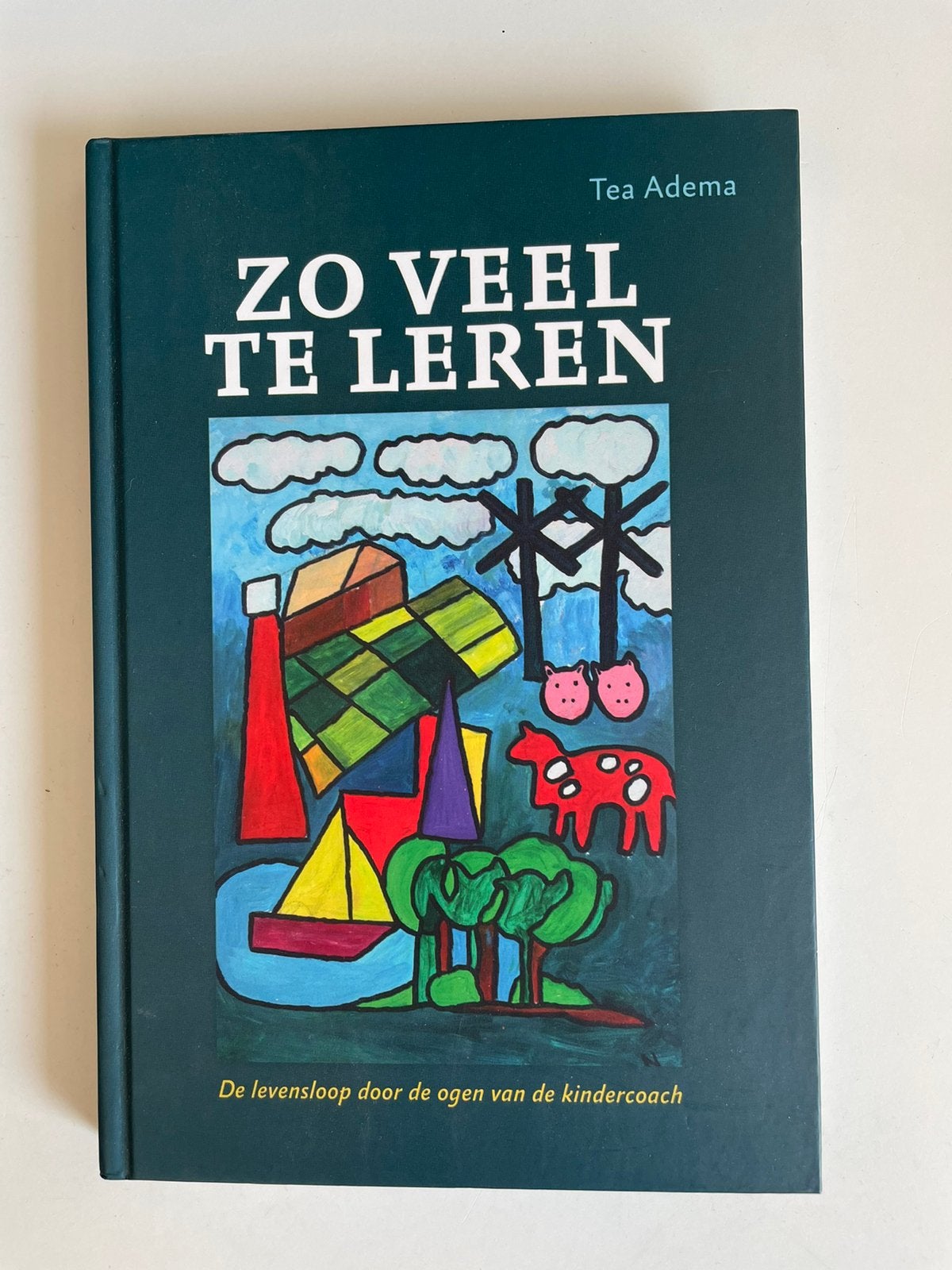 Zo veel te leren – levensloop door de ogen v/d kindercoach, Ophalen of Verzenden, Zo goed als nieuw