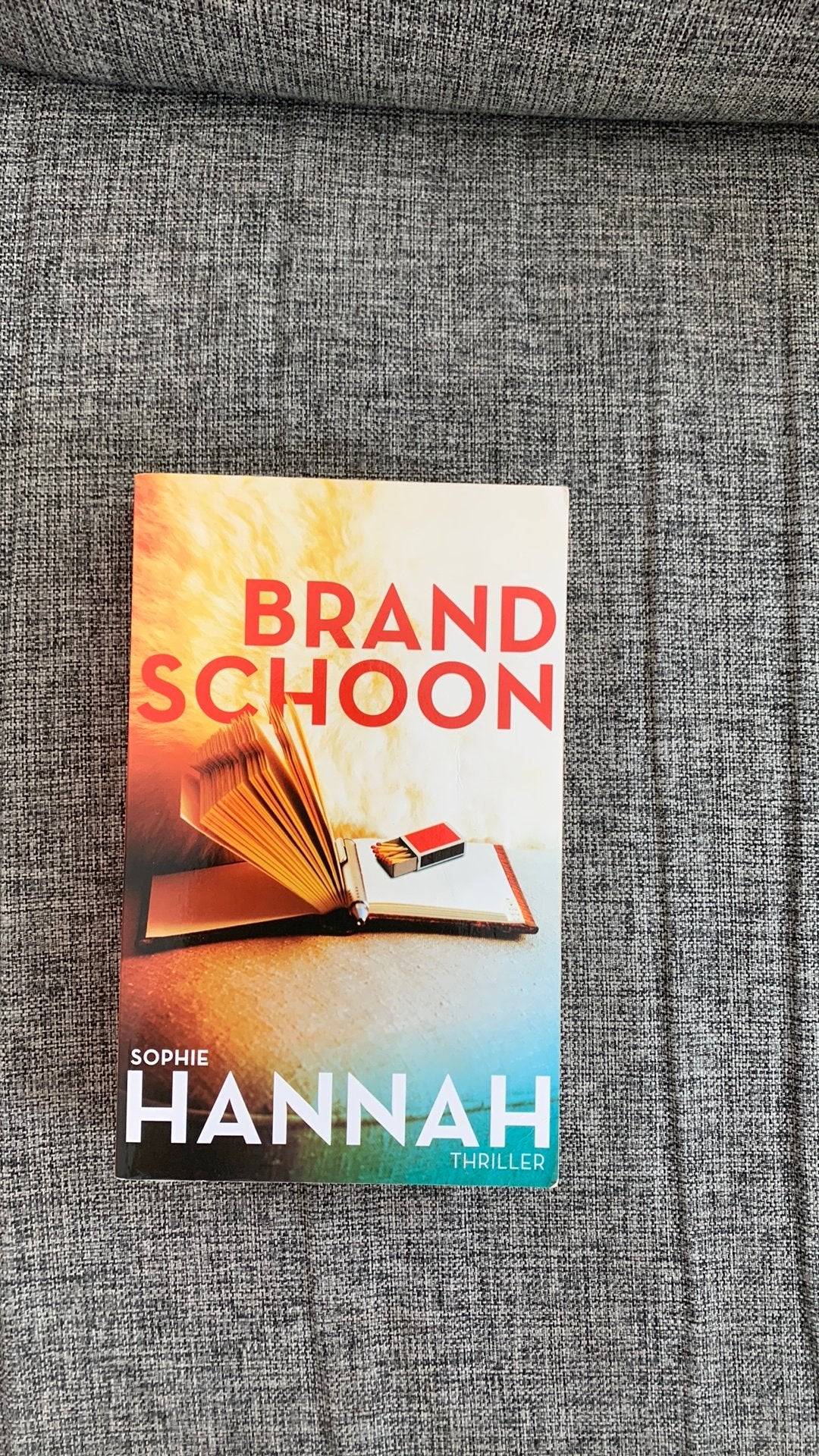 Sophie Hannah - Brandschoon, Ophalen of Verzenden, Zo goed als nieuw, Sophie Hannah