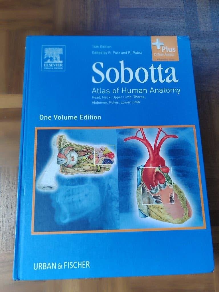 Studieboek Geneeskunde; Sobotta Anatomie, Verzenden, Beta, Zo goed als nieuw, WO