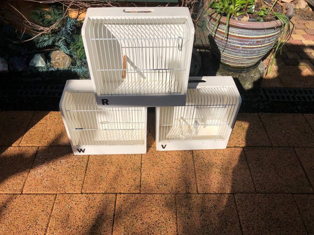 3 x TT kooi wit en kap, Ophalen of Verzenden, Zo goed als nieuw, Hout, Vogelkooi