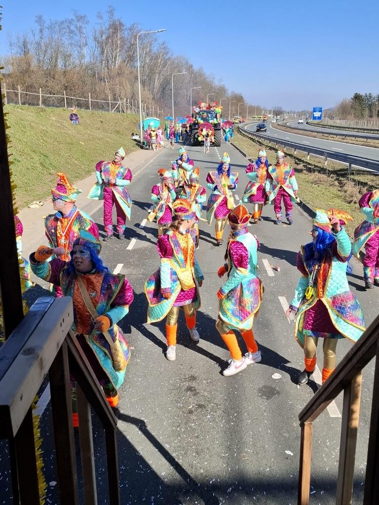 Carnavalskleding: Kleurrijk en Feestelijk Pak, Carnaval, Ophalen of Verzenden, Onbekend, Kleding