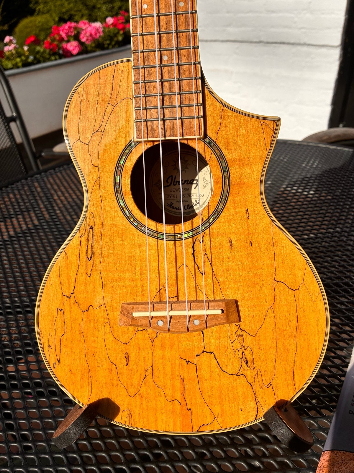Ibanez UEW20SM Ukulele met accessoires, Ophalen of Verzenden, Zo goed als nieuw, Ukelele