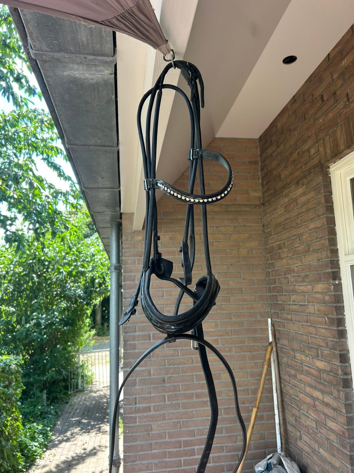 Hoofdstel maat full rondgenaaid, Dieren en Toebehoren, Paarden en Pony's | Hoofdstellen en Tuigage, Hoofdstel, Ophalen of Verzenden