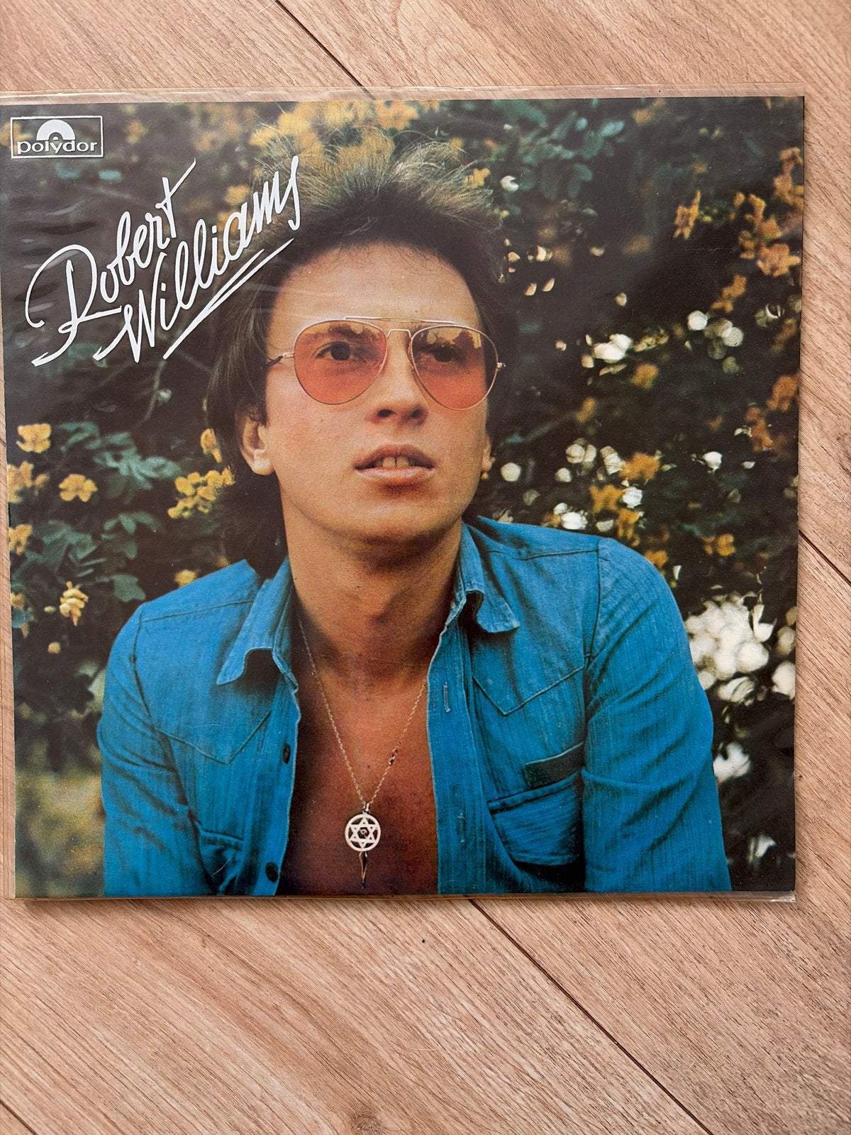 Robert Williams - Esy Ki Ego LP (1976) Polydor Griekse Persi, LP, Gebruikt, Pop, Originele persing