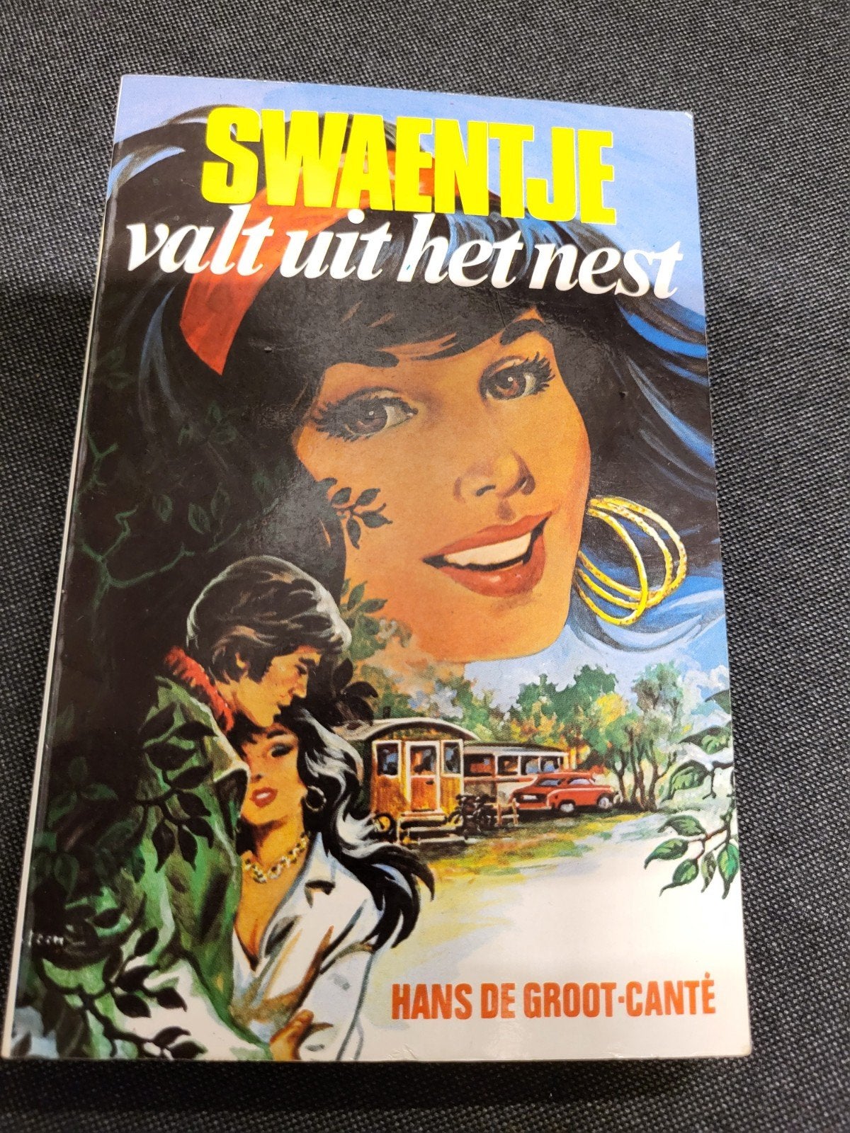 Swaentje valt uit het nest - Hans de Groot - Kluitman Canté, Ophalen of Verzenden, Gelezen, Hans de Groot Canté