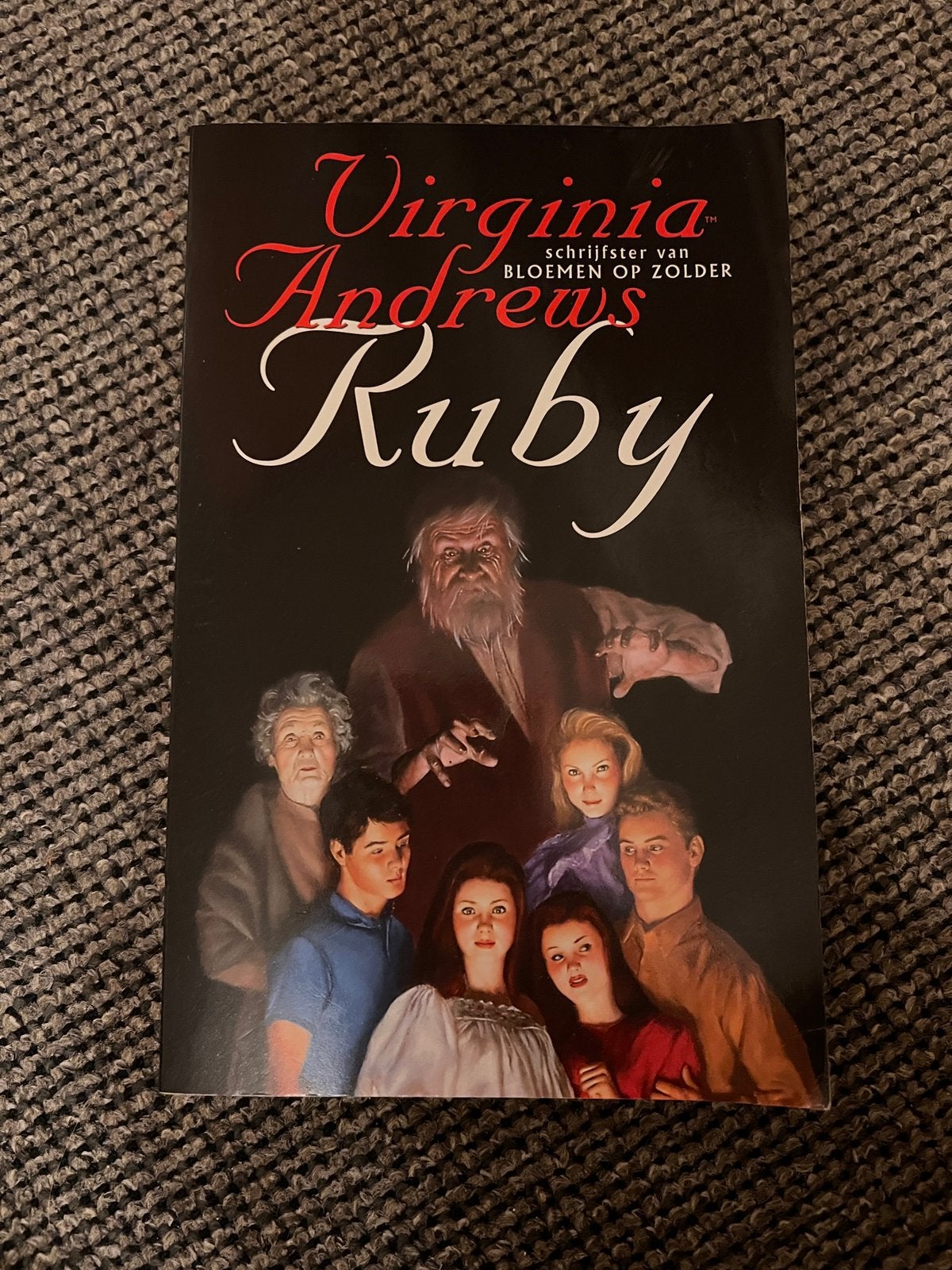 Ruby - Virginia Andrews (Zo goed als nieuw), Boeken, Ophalen of Verzenden, Zo goed als nieuw, Virginia Andrews, Amerika