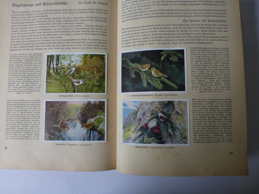 Plaatjesalbum:  Over de Duitse vogelwereld (Groen)  uit 1932, Ophalen of Verzenden, Gelezen, Plaatjesalbum