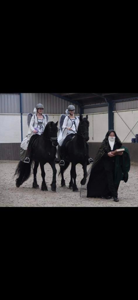 Complete set: 2x Jurk & 1x Tovenaar outfit (paardenshow), Kleding | Dames, Carnavalskleding en Feestkleding, Ophalen, Gedragen