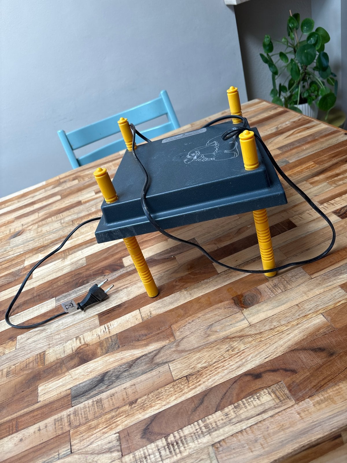 Warmte lamp voor kuikens, Ophalen of Verzenden, Zo goed als nieuw, Overige typen