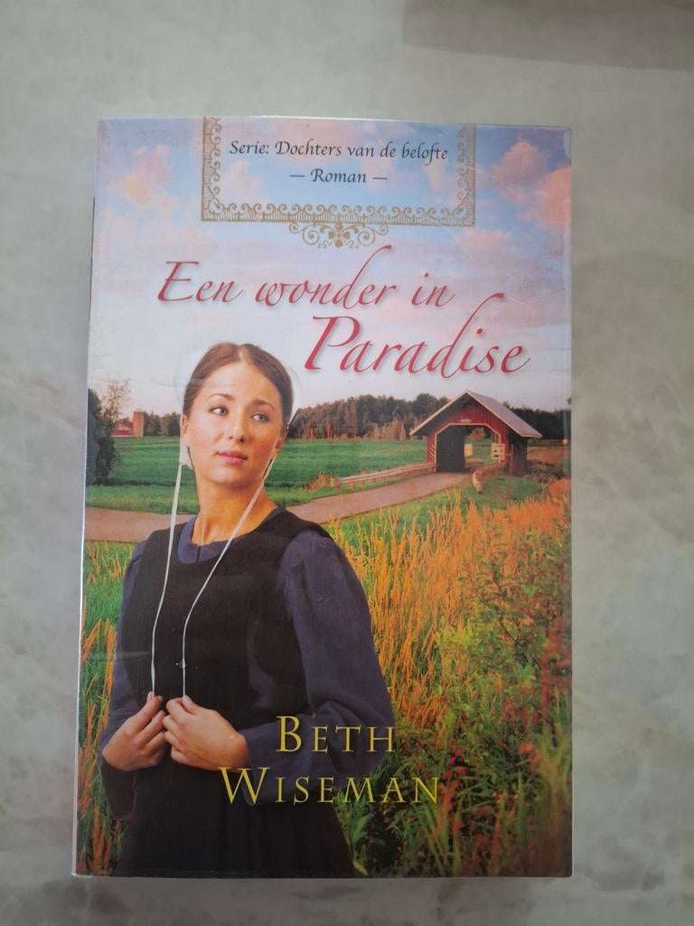 Een wonder in Paradise - Beth Wiseman (Christelijke roman), Boeken, Ophalen of Verzenden, Zo goed als nieuw, Beth Wiseman, Nederland