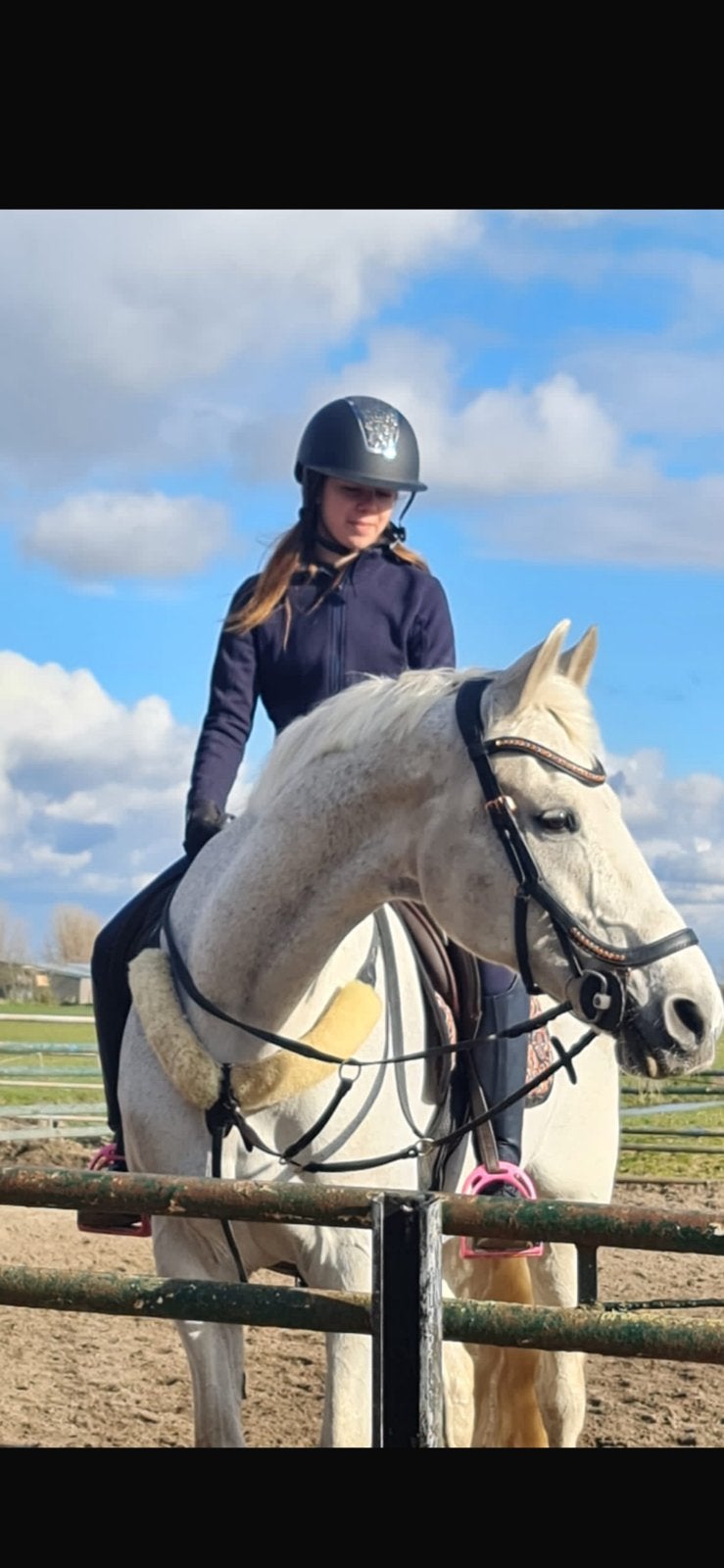 Bijrijder aangeboden/ verzorgpony gezocht, Dieren en Toebehoren, Ophalen of Verzenden, Zo goed als nieuw