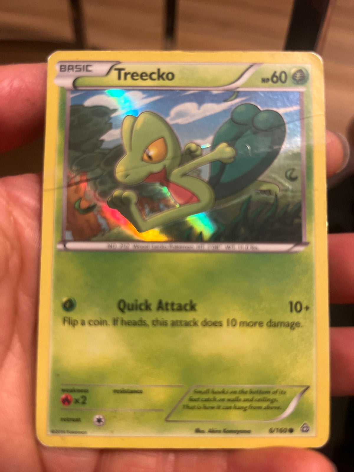 Treecko Pokémon Kaart (Foil) - Goede Staat, Ophalen of Verzenden, Gebruikt, Losse kaart, Foil