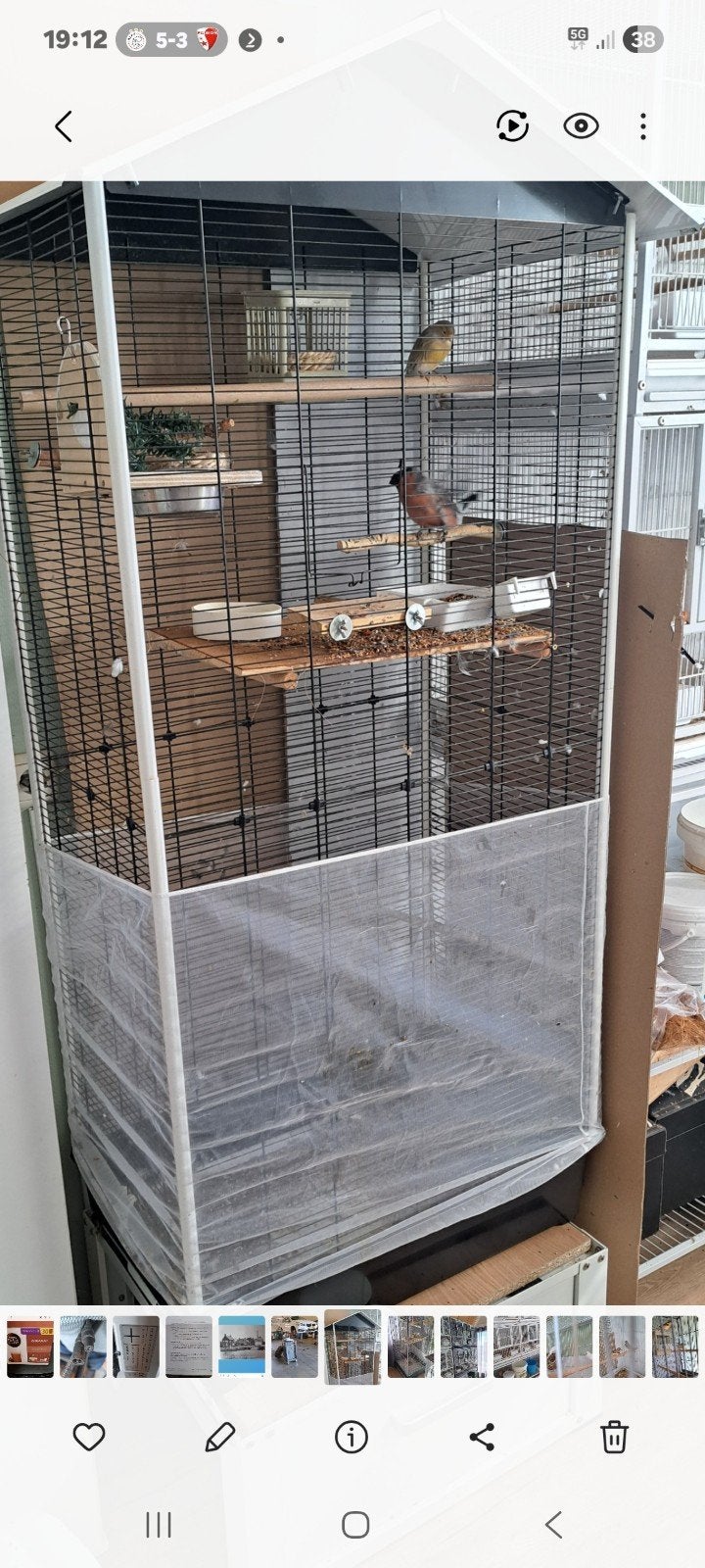 kooi met vogels, Ophalen, Vogelkooi