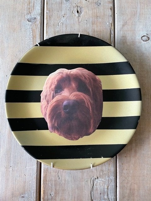 Sierbord / wandbord hond Labradoedel Goud met zwart. PIP., Ophalen, 26 cm, Handgemaakt, Steen/keramiek