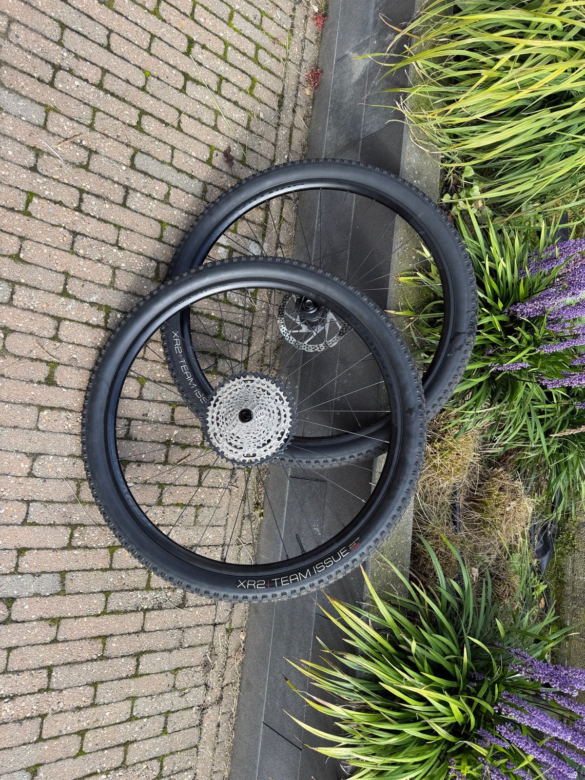 Mtb wielen nieuw, Fietsen en Brommers, Ophalen, Zo goed als nieuw, Mountainbike, Wiel