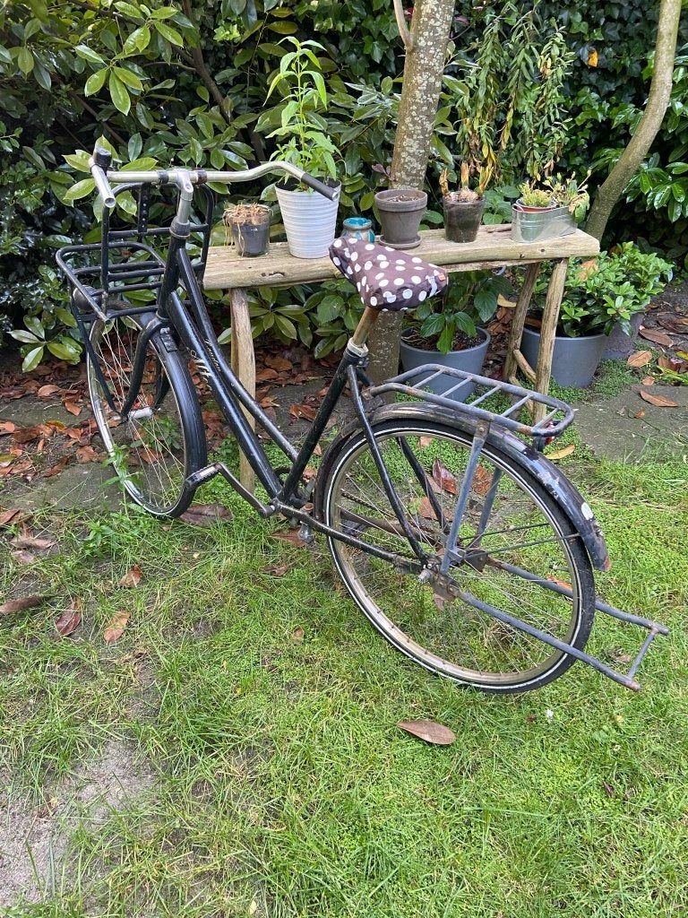 Bike, Terugtraprem, Gebruikt, 56 cm of meer, Ophalen