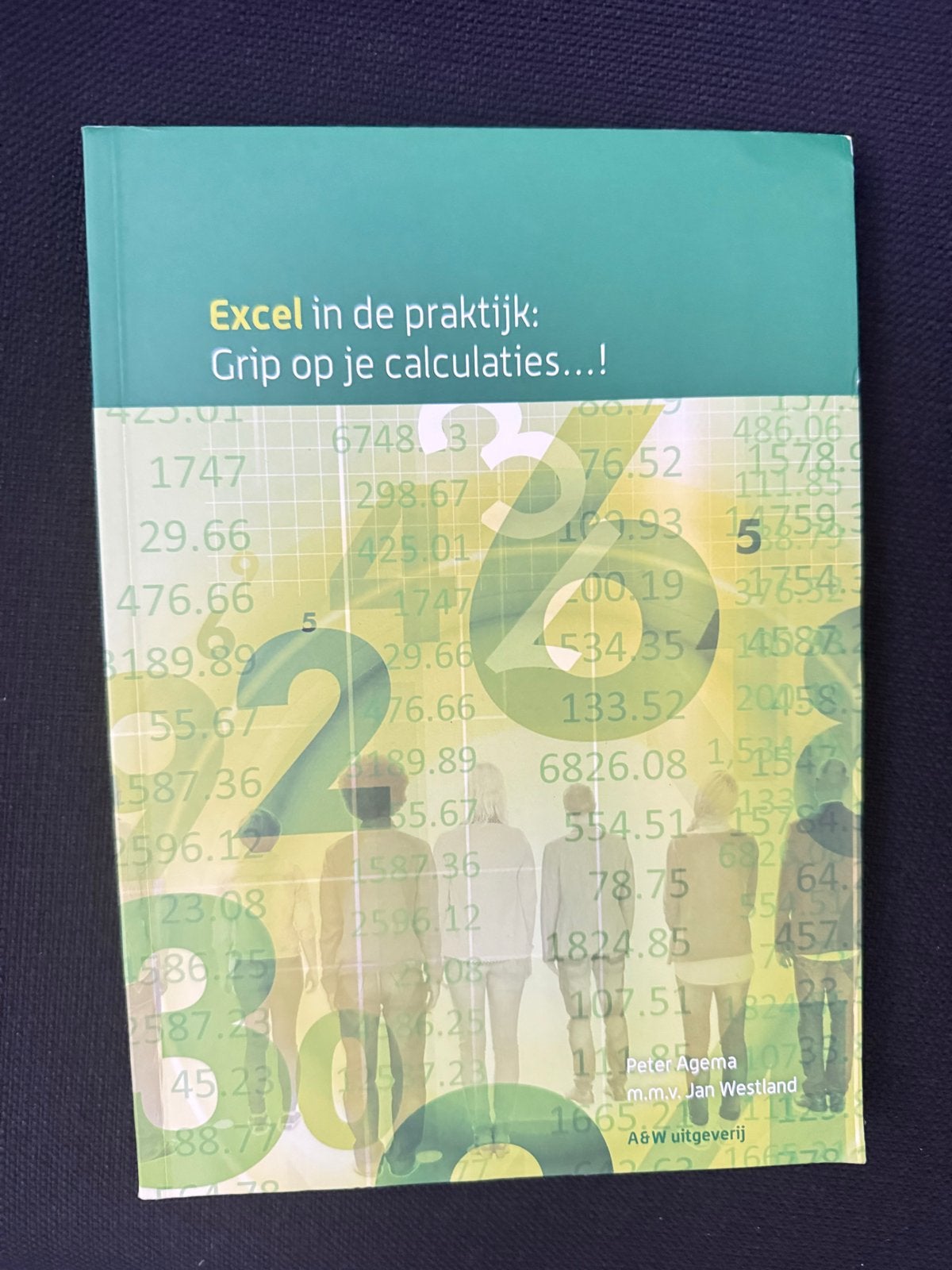 Excel in de praktijk: Grip op je calculaties 9789490957063, Ophalen, Gamma, Zo goed als nieuw, MBO