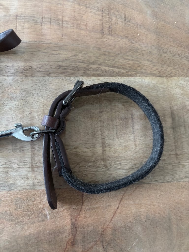 Honden riem met halsband, Ophalen, Zo goed als nieuw, Hondenriem-accessoire
