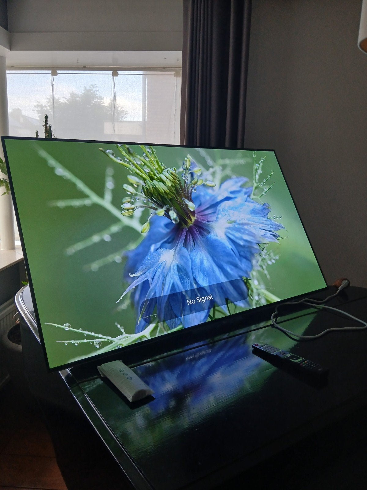 LG OLED 55EW961H (2017) – 55 inch 4K TV (geen Smart TV), Ophalen, OLED, Zo goed als nieuw, 100 cm of meer