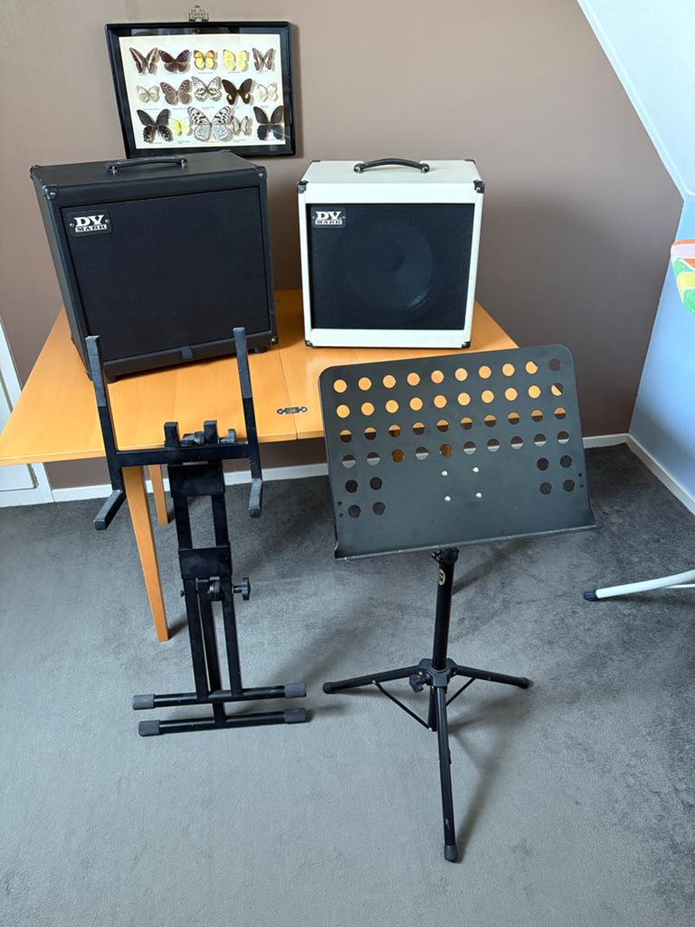 2x DV Mark Gitaar Speaker + extra’s, Ophalen, Zo goed als nieuw, Gitaar, 100 watt of meer