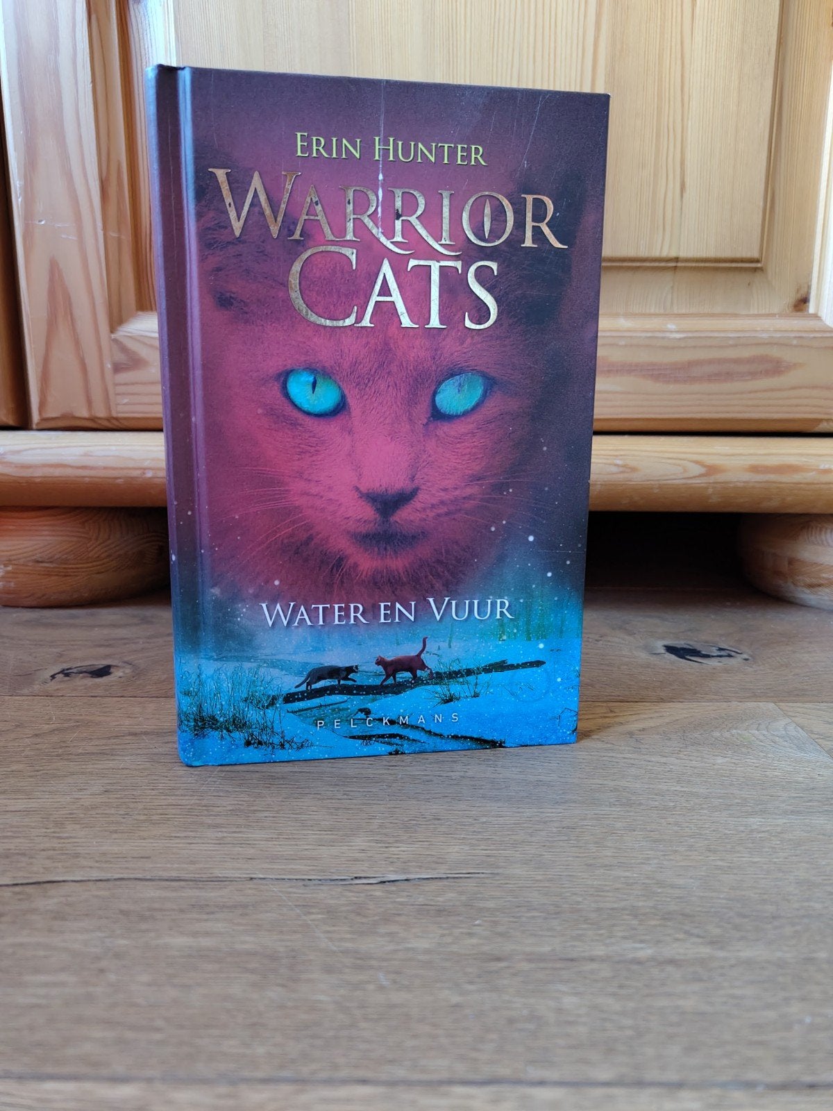Warrior Cats serie 1 - incomplete set (boeken 2, 3, 6), Boeken, Ophalen of Verzenden, Gelezen, Erin Hunter, Fictie