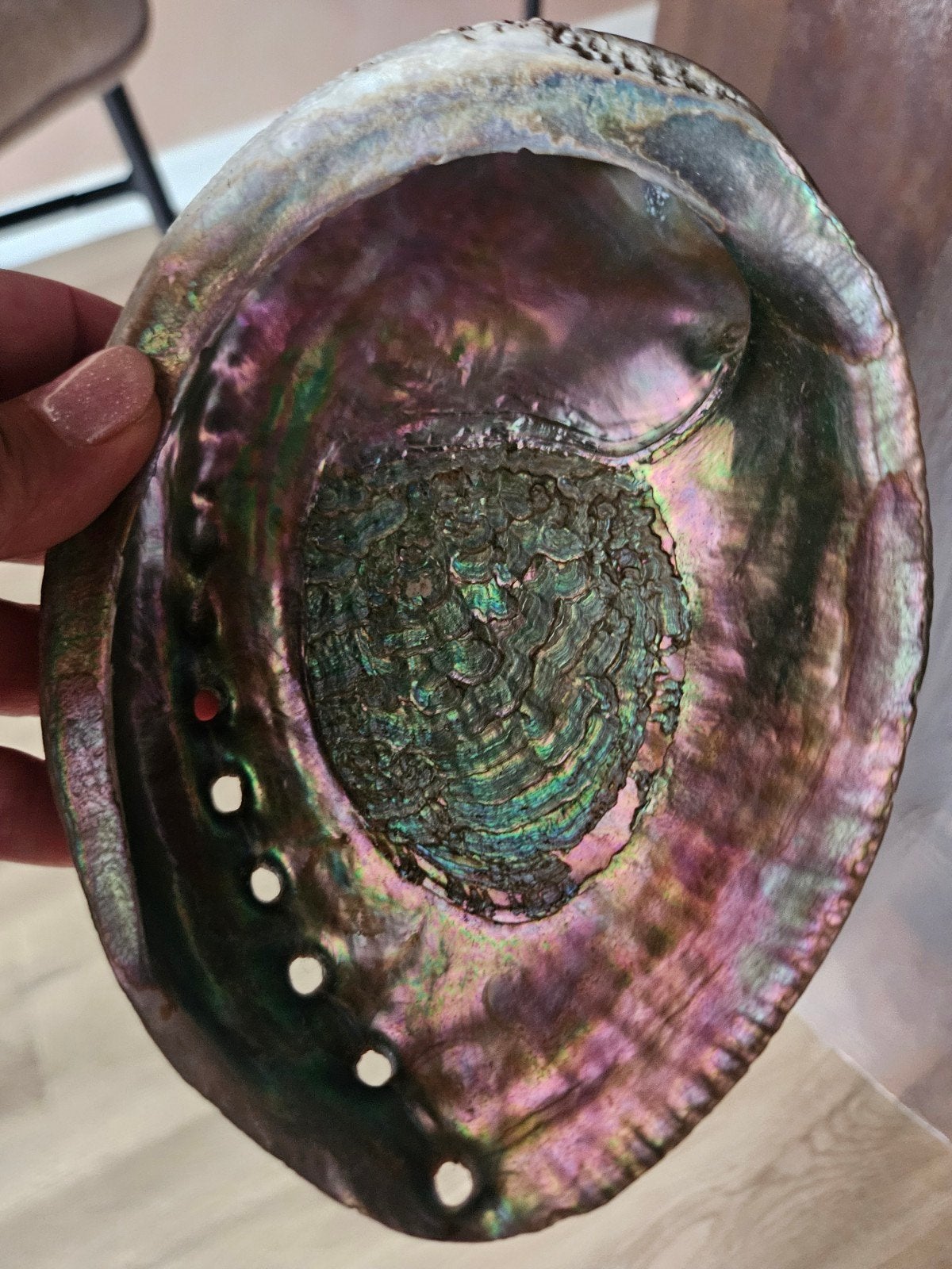 Grote Roze Abalone Schelp, Ophalen of Verzenden, Zo goed als nieuw