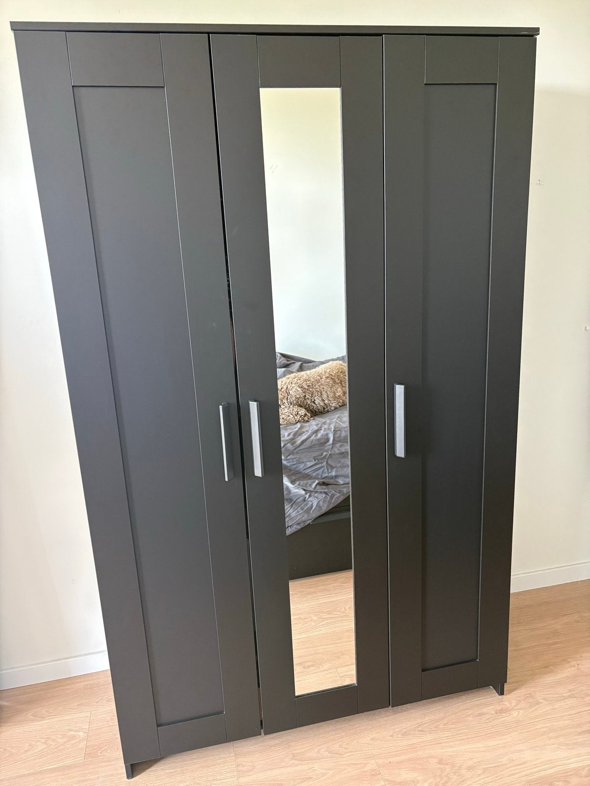 IKEA Kledingkast met spiegeldeur - 190x117x50 cm, Ophalen, Gebruikt, 100 tot 150 cm, 150 tot 200 cm