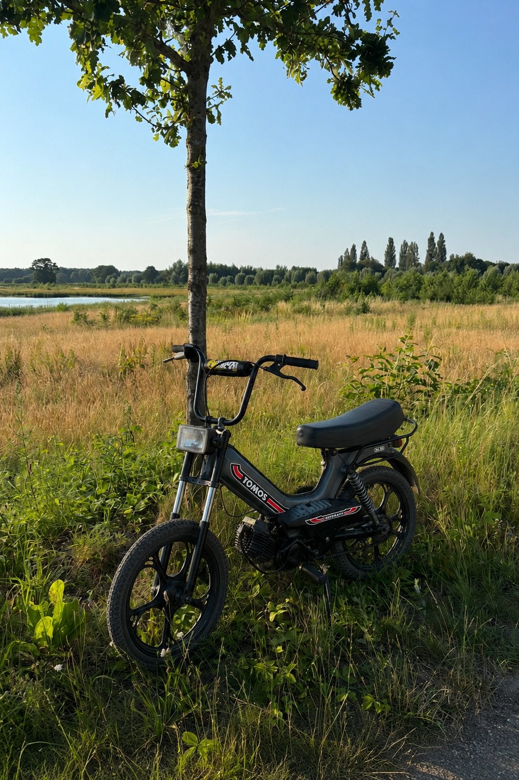 Tomos a35, Ophalen, Gebruikt, Maximaal 45 km/u, 2 versnellingen
