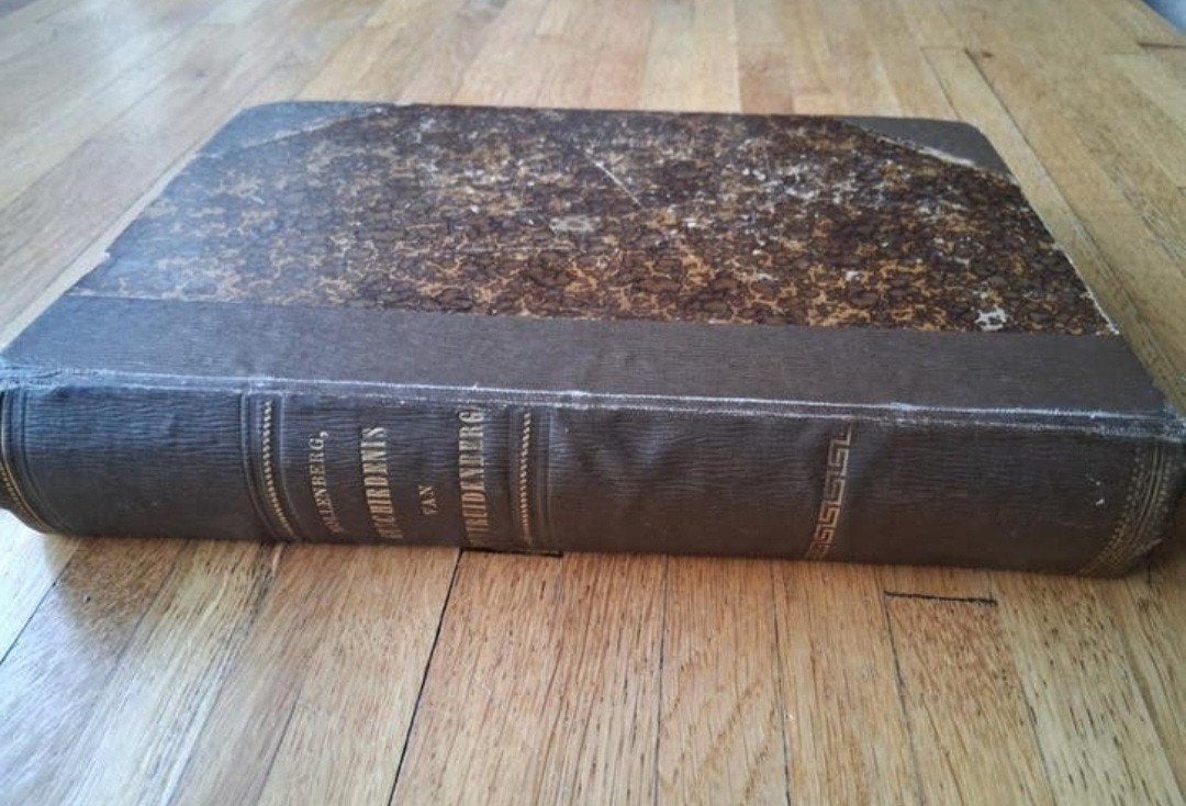 Geschiedenis van Geertruidenberg
Zeldzaam boek uit 1899, Boeken, Geschiedenis | Stad en Regio, Ophalen of Verzenden, Zo goed als nieuw