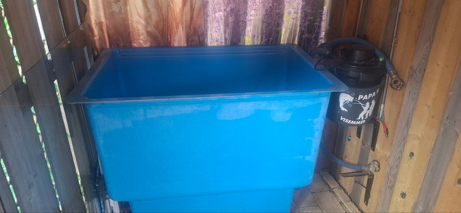 quarantaine koi bak vissen bak, Ophalen, Leeg aquarium