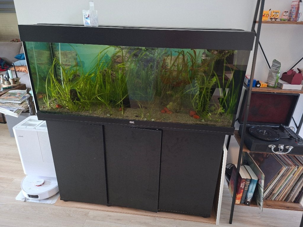 Aquarium 240L, Dieren en Toebehoren, Vissen | Aquaria en Toebehoren, Ophalen, Gebruikt, JBL, Inclusief vissen