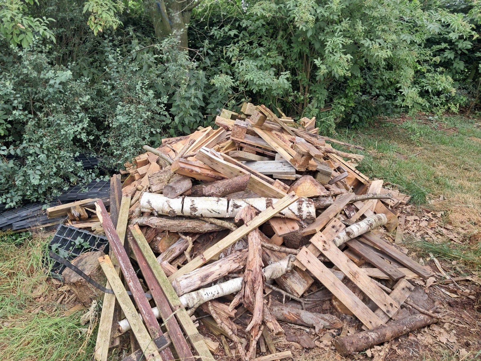 Gratis brandhout, 3 tot 6 m³, Ophalen, Overige houtsoorten, Blokken