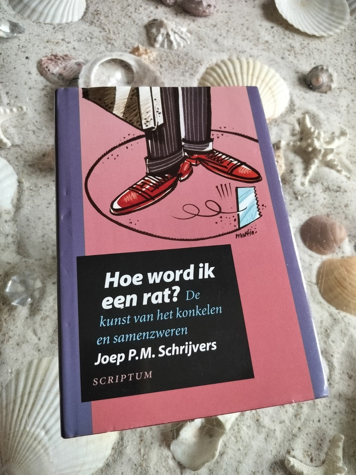 Joep P.M. Schrijvers - Hoe word ik een rat?, Boeken, Gelezen, Joep P.M. Schrijvers, Ophalen of Verzenden, Management