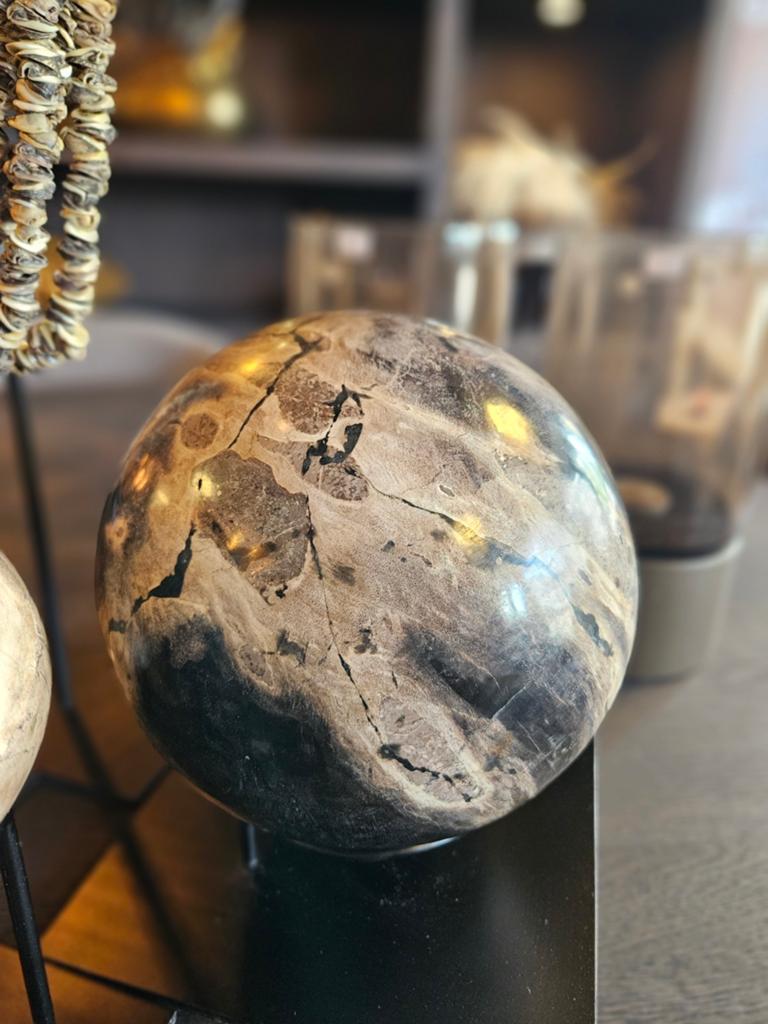 Decoratieve bol versteend hout op voet petrified wood, Ophalen of Verzenden