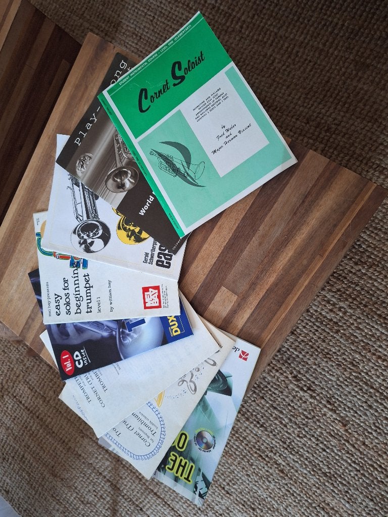 muziekinstrument, Verzenden, Gebruikt, Koperblazer, Met koffer of draagtas